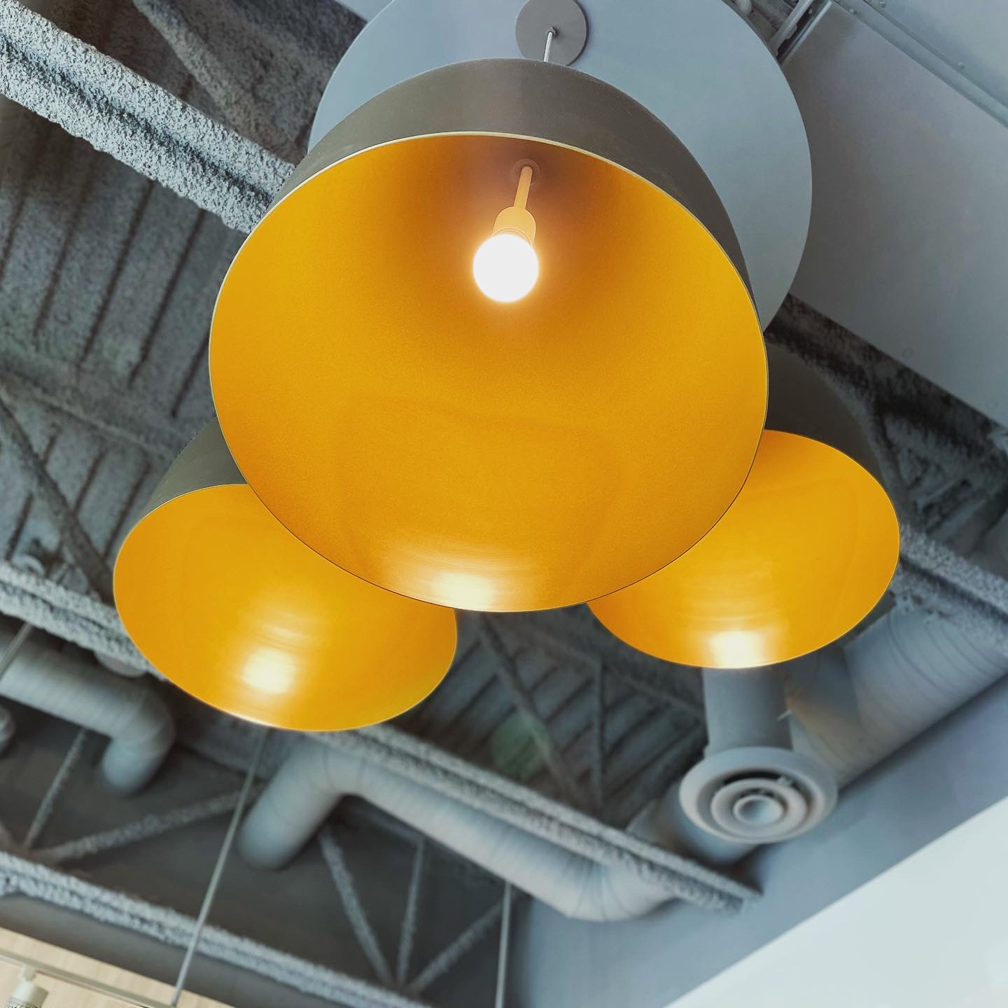 Elysian Light Fixture BRC Construction