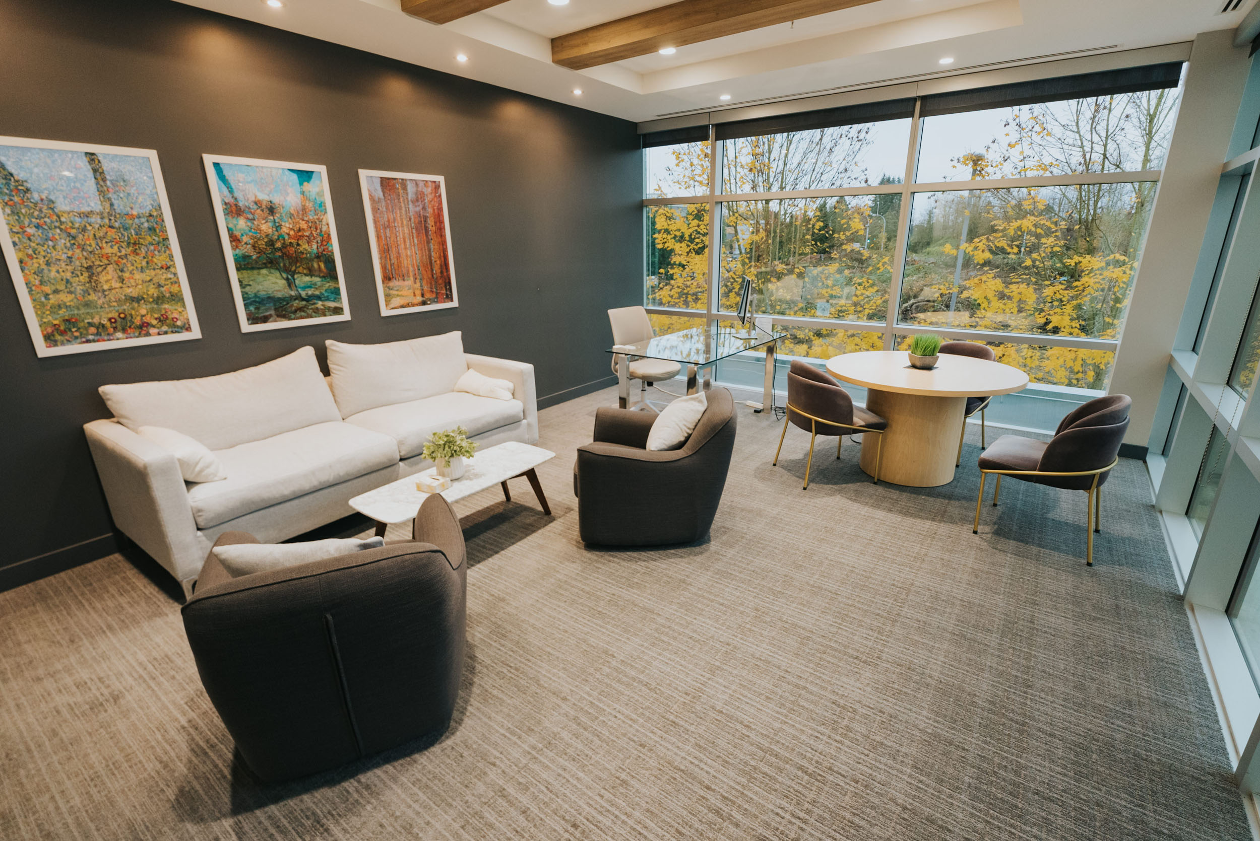 Elysian Health Healthcare Construction Design Build