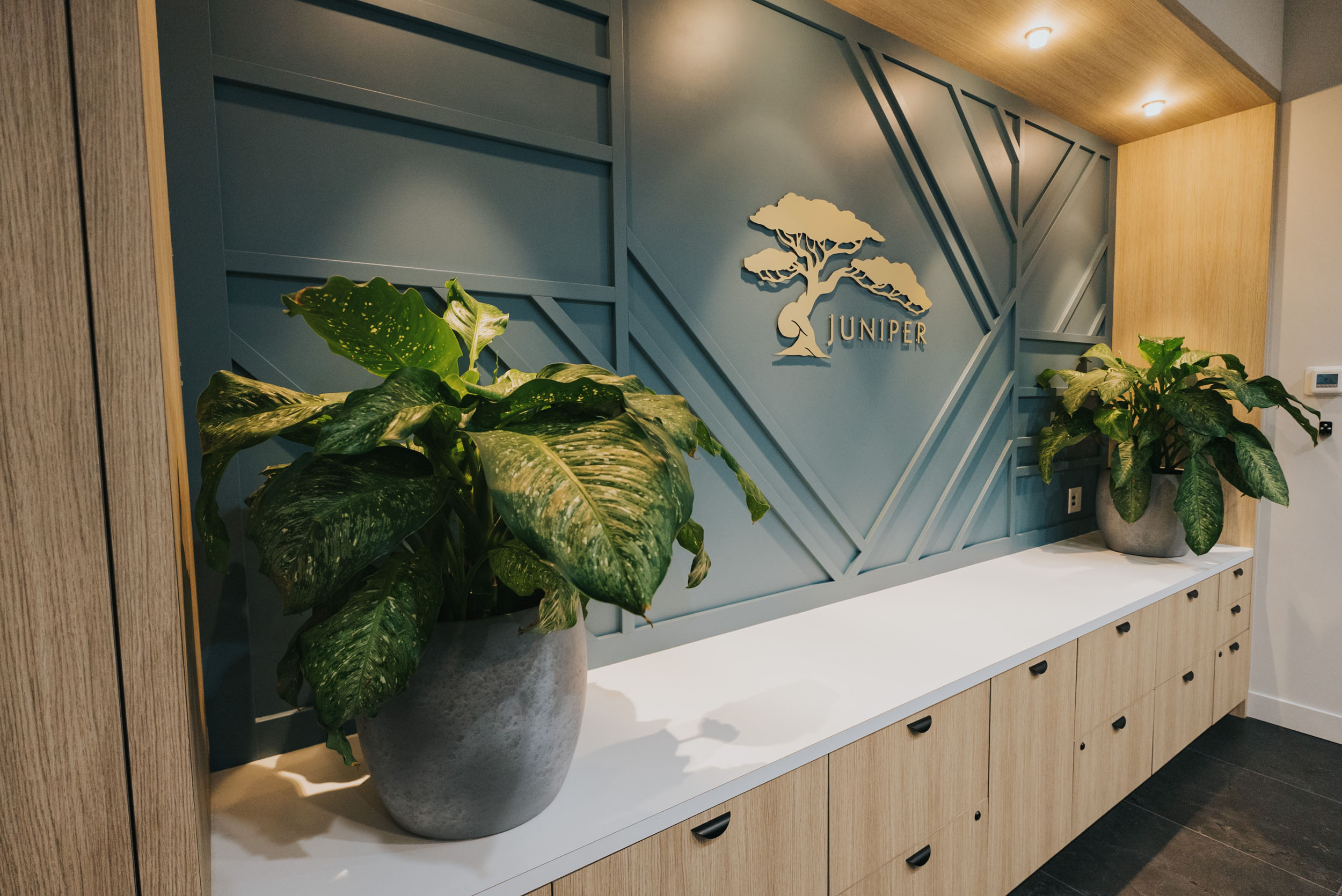 Juniper Gynecology Construction Design Build BRC Contracting